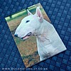English Bull Terrier Magnetic Notepad